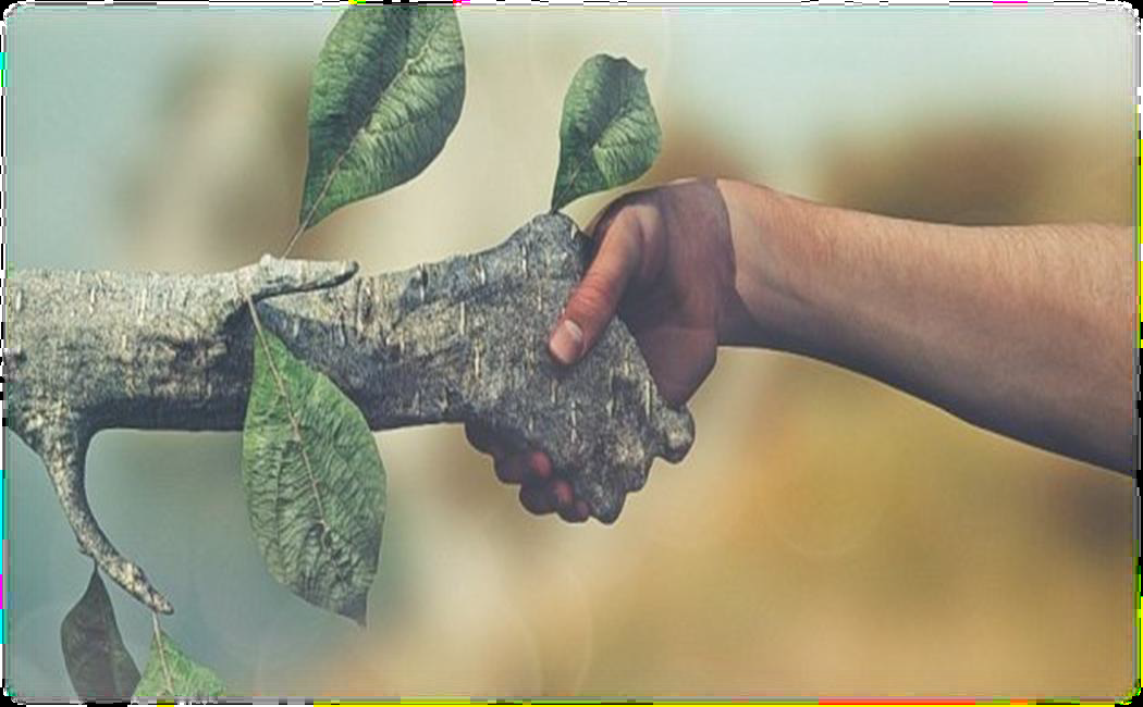 سياسة رقم 3: (سياسة الحفاظ على النظام البيئي في جامعة الكرخ للعلوم)